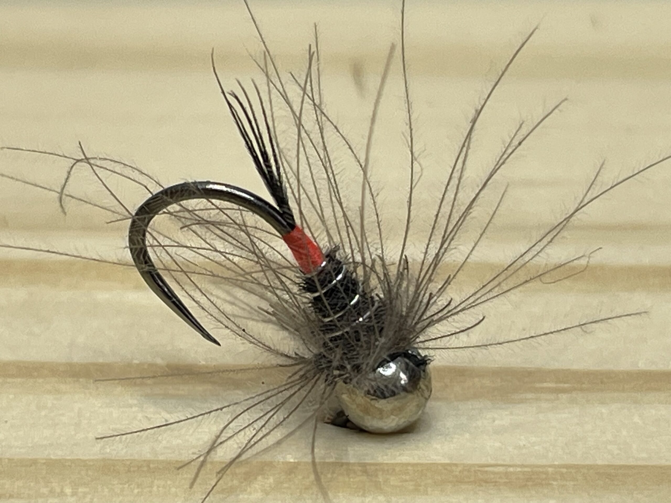 Faisan tail noire cul-rouge